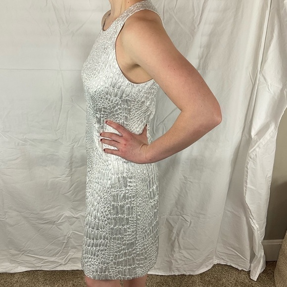 Rebecca Taylor silver dress. Brand New with tags! - Picture 5 of 9